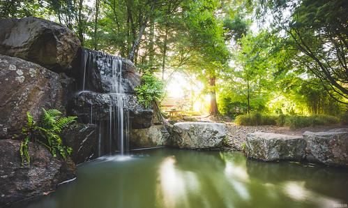 nantes îledeversailles jardin japanesegarden cascade waterfall matin morning sunrise