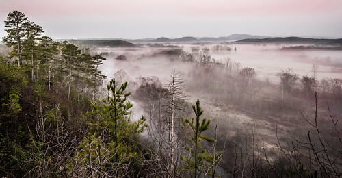 fog landscape sunrise hotspringsvillage arkansas