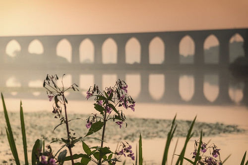 hewenden hewendenreservoir yorkshire bradford dawn sunrise flowers d600 water ngc nikonfxshowcase reflection