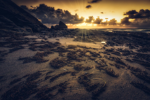 sunset bassets cove cornwall uk kernow seaweed landscape seascape starburst sand weed golden sunrise beach cliff