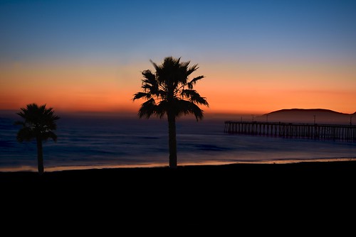 pismobeach sunset palmtree pier pacificocean orangehour silhouette california roadtrip