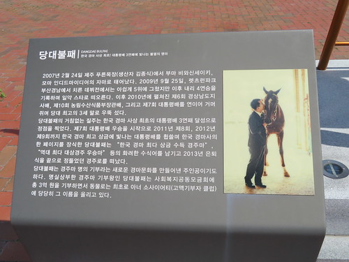 釜山慶南競馬場のタンデブルペ像