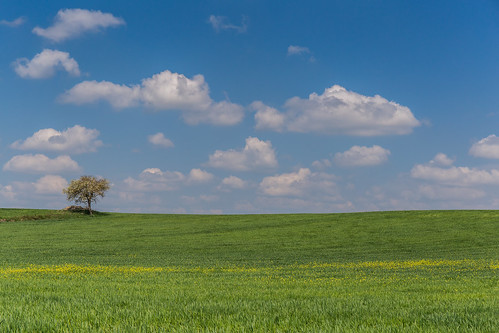 puglia landscape canon sky field italy green blue clouds tree nature flowers countryside lonely spring