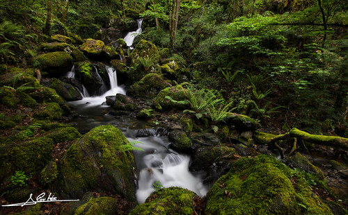 verde larga rio castrillón asturias boal naturaleza exposición cascada agua