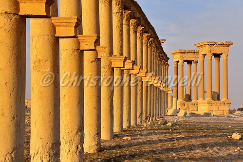 syria middleeast palmyra roman columns archeological antique greek architecture desert arabia tadmor unesco heritage sunset sunrise