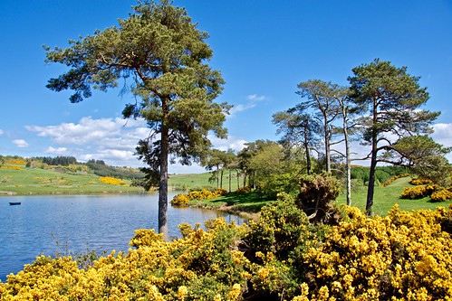 scotland knapps loch water trees landscape scenic