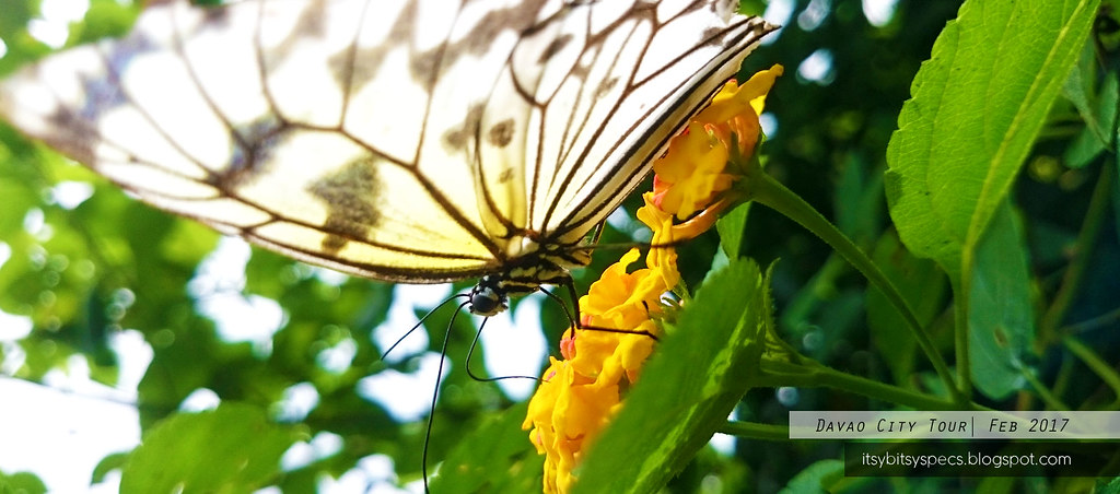 Butterfly Garden - Eden Nature Park
