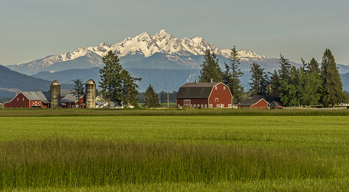 farm farmland dairy mount mountain red barn barns silo field whatcom county washington washingtonstate lynden picture image photo pictures images photos