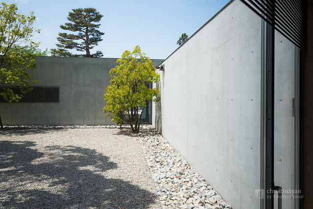 Vestibule Garden of D.T.Suzuki Museum (鈴木大拙館『玄関の庭』)