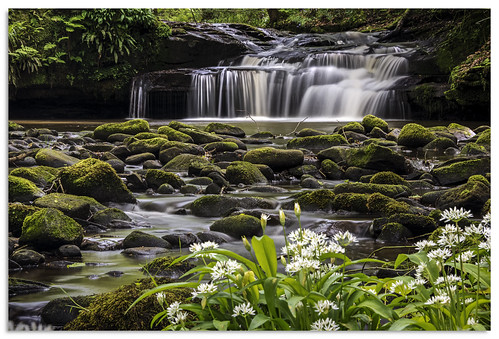 hallasbeck hewenden bradford yorkshire water waterfall d600 ngc nikonfxshowcase nikkor1635mmf4 goitstock