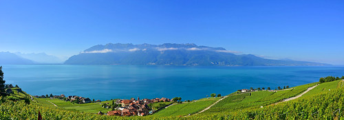 chexbres vaud suisse lavaux bourgenlavaux panorama paysages vignes vignobles bleus léman rivaz terrasses fabuleuse