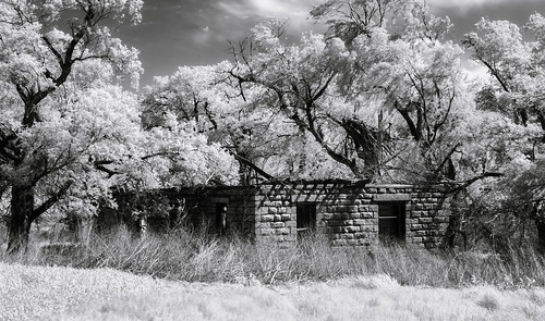 abandonedhouse trees sky grass shadows noroof monochrome nowindows clouds weathered crumbling blackandwhite