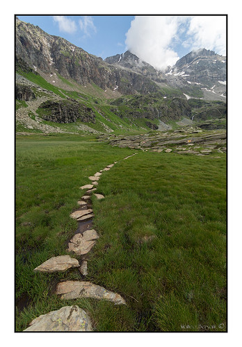 lombardia valmalenco sentiero pathway prato montagnamountain alpialps estate summer naturanaturalmentenature