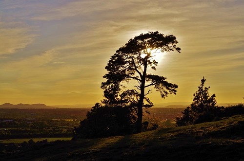 sunset tree silhouette light sun shine clouds haughmondhill shropshire
