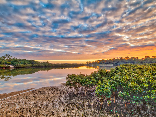 cannonscreek canon canonaustralia canoncollective country nature samyang sea sunset hdr inlet mangroves panorama scenery waterway victoria australia au