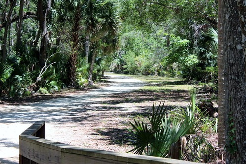 ronpersan usa 2017 palmcoastfl floridausa florida crahamswamptrailfl hike outdoors