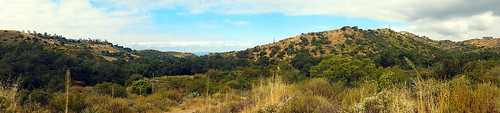 whitingranchwildernesspark portolahills california photo digital spring ridge foothills chaparral
