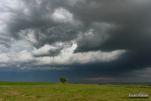 storm stormy thunderstorm severe weather clouds supercell wyoming june spring summer nikond750 tamron2470mmf28 lingle evening green grass tornadic tree