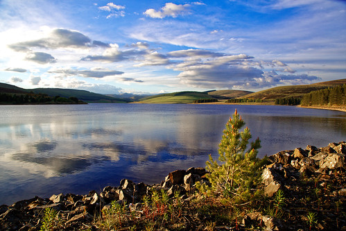 young pine growth reflections reservoir freshwater scotland sunlight scottishwater backwater scenery relaxing shoreline rock hills mountains clouds canon 5d alanirons atomspheric landscape waterscape lake heathland conifer evergreen flora idyllic serene ecosse