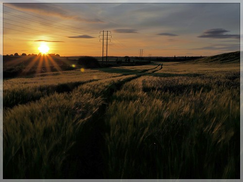 coxmoorwoods coxmoor kirkby kirkbyinashfield sun sunset fields light sky