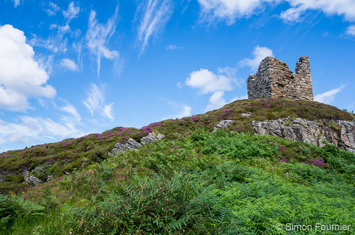 écosse scotland alba grandebretagne greatbritain highlands loch wildlife castle