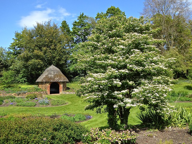 Bressingham Gardens, Norfolk