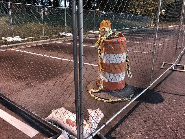 Our local zoo has a traffic cone x Dalek breeding program.