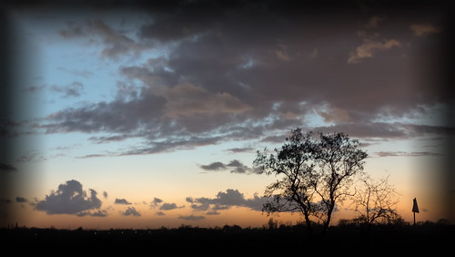 hss sliderssunday sundown sunset tree silhouette trafficsign cinematicmood