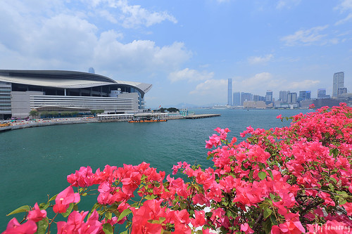 Wan Chai Ferry Pier