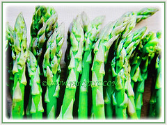 Asparagus officinalis (Asparagus, Garden Asparagus) can be eaten grilled and served with butter, 13 July 2017