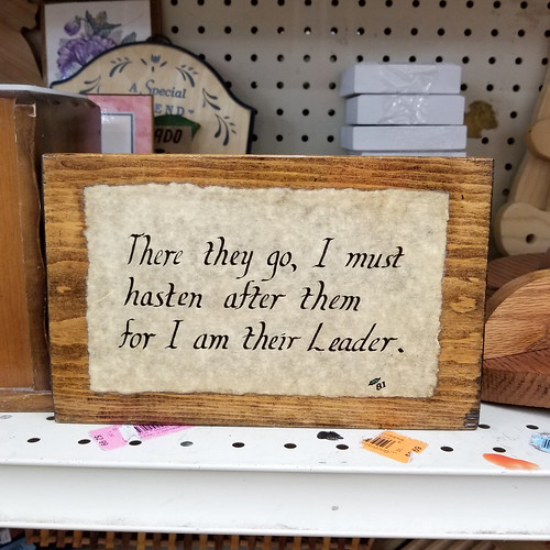 i am their leader