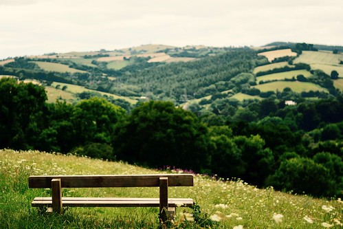 bench landscape view country countryside meadow meadows