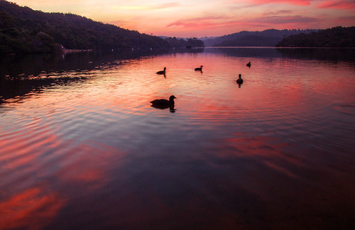 hdr dusk ducks sunset manlydam lake reflection