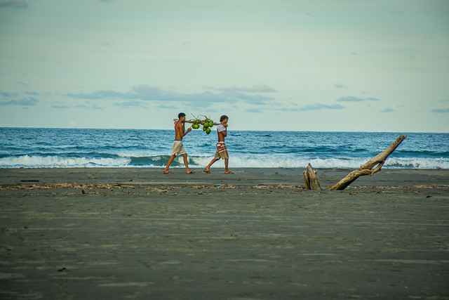 5 Things To Look For When Choosing The Best Eco Resort In Costa Rica