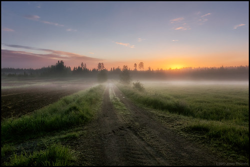 sunrise soluppgång fog dimma åker field morning morgon sommar summer gräs grass hdr trees träd väg road