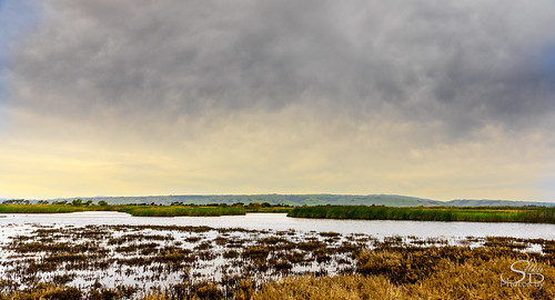 california coyotehillsregionalpreserve fremont pond unitedstates water clouds wetlands marsh landscape