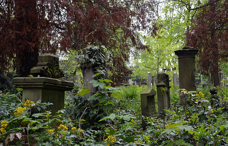 Jüdischer Friedhof / Jewish Cemetery