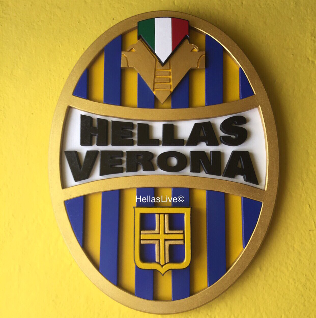 La stagione dell’Hellas Verona 2017/18 inizierà mercoledì 5 luglio