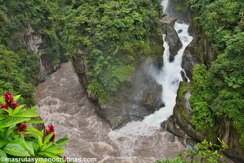 Acuavacaciones en Galápagos y Ecuador - Blogs de Ecuador - Cascadas, bosques nubosos y selva. Baños y la Troncal amazónica (7)