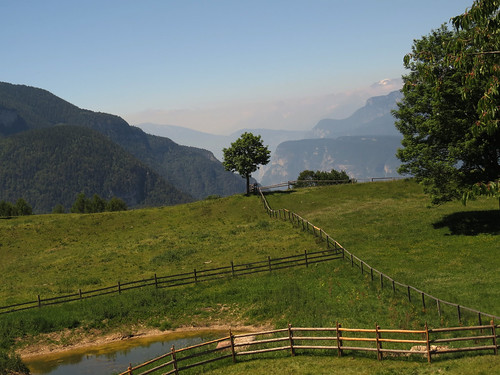truden trodena altoadige südtirol view mountains mist tree meadow summer hike hiking green etschtal brentagroup