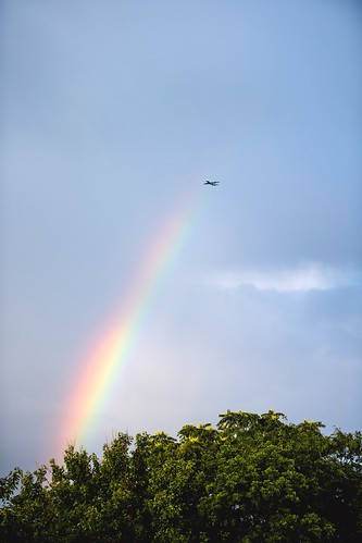 rainbow plane sky tree
