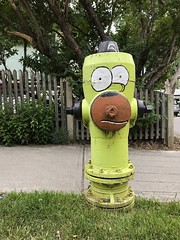 Homer, the hydrant