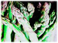 Attractive Asparagus officinalis (Asparagus, Garden Asparagus) in green and tinged with light purple, 13 July 2017