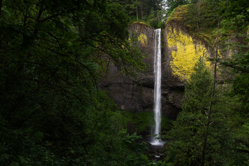 A view through the forest to Latourell Falls