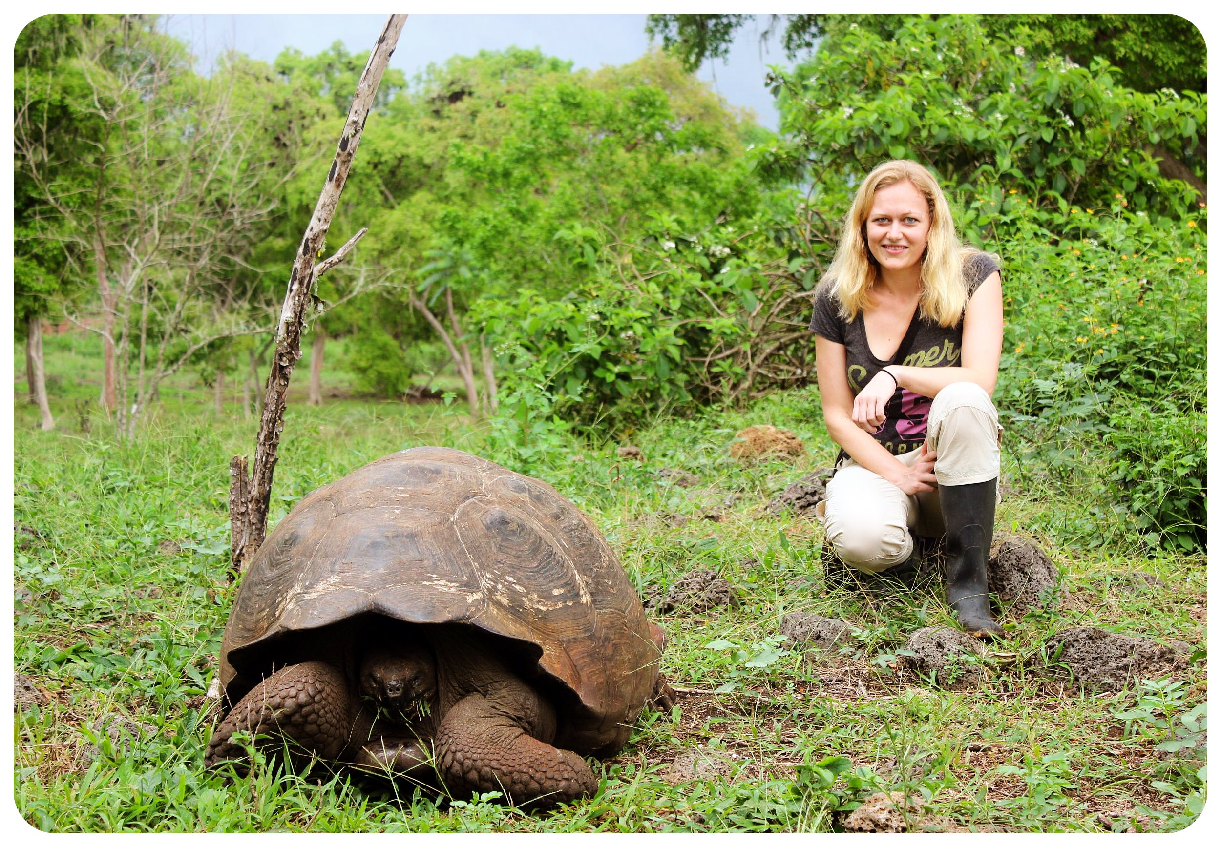 dani galapagos islands giant tortoise