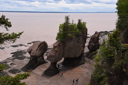 hopewell rocks called flowerpots simply rock formations caused tidal erosion ocean exploration site new brunswick stand 40–70 feet tall located shores upper reaches bay fundy cape near moncton extreme range base covered water twice day however possible view ground level low tide nikon d750 28300mm f3556 lowercape newbrunswick canada
