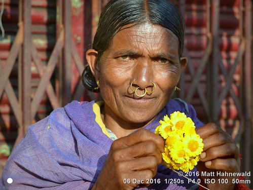 photo physiognomy psychological primelens street portrait closeup yellow cultural character nose nosepiercing marigold bothhands bareheaded bodylanguage consent market female posing authentic color eyes adivasi matthahnewaldphotography face facingtheworld elderly florist horizontal head india woman jeypore nikond3100 orissa outdoor nosering flower 50mm oneperson seveneighthsview expression halflength earring nikkorafs50mmf18g 4x3ratio 1200x900pixels resized lookingatcamera