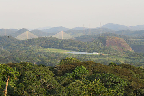 bridge puentecentenario parquenacionalsoberanía soberaníanationalpark canopytower panama mangoverde