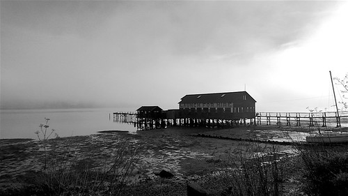 ca marincounty westmarin inverness tomalesbay northerncalifornia blackandwhite bw monochrome composition availablelight existinglight leica dlux4 scottjohnson