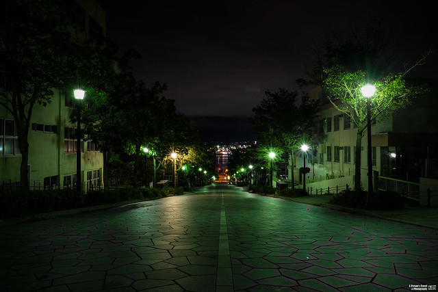 函館 八幡坂夜景